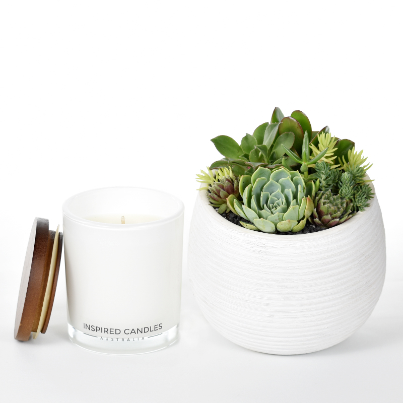 Succulents in ceramic bowl and luxury soy candle